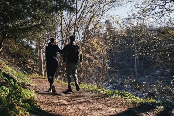 A couple are out walking whilst on holiday in the Harz Mountains 
