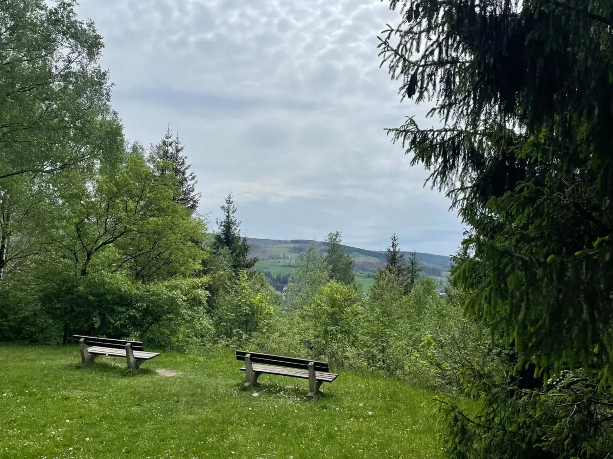 Aussicht mit Bank Bänke in einer grasbewachsenen Fläche mit Bäumen und einem Hügel im Hintergrund.