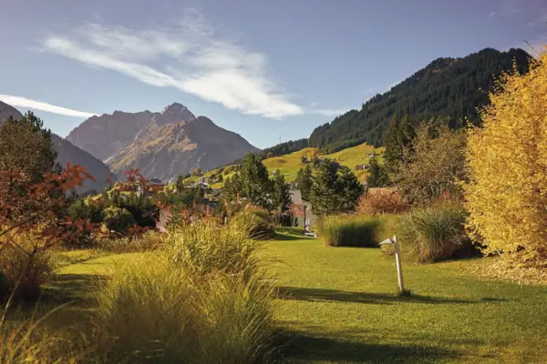 A green meadow with trees and mountains in the background
