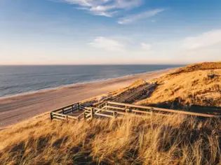 A wooden path winds its way through the dunes on Sylt. The sun shines on the calm sea.