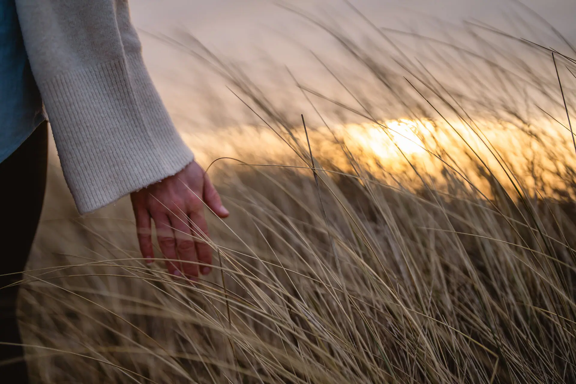 A hand touches tall grass outdoors.