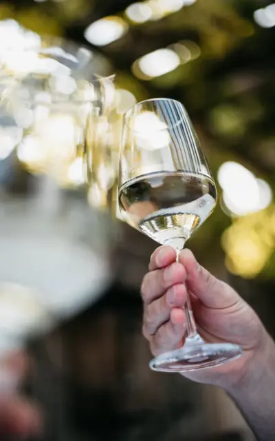 A hand holding a glass of wine in the air. 