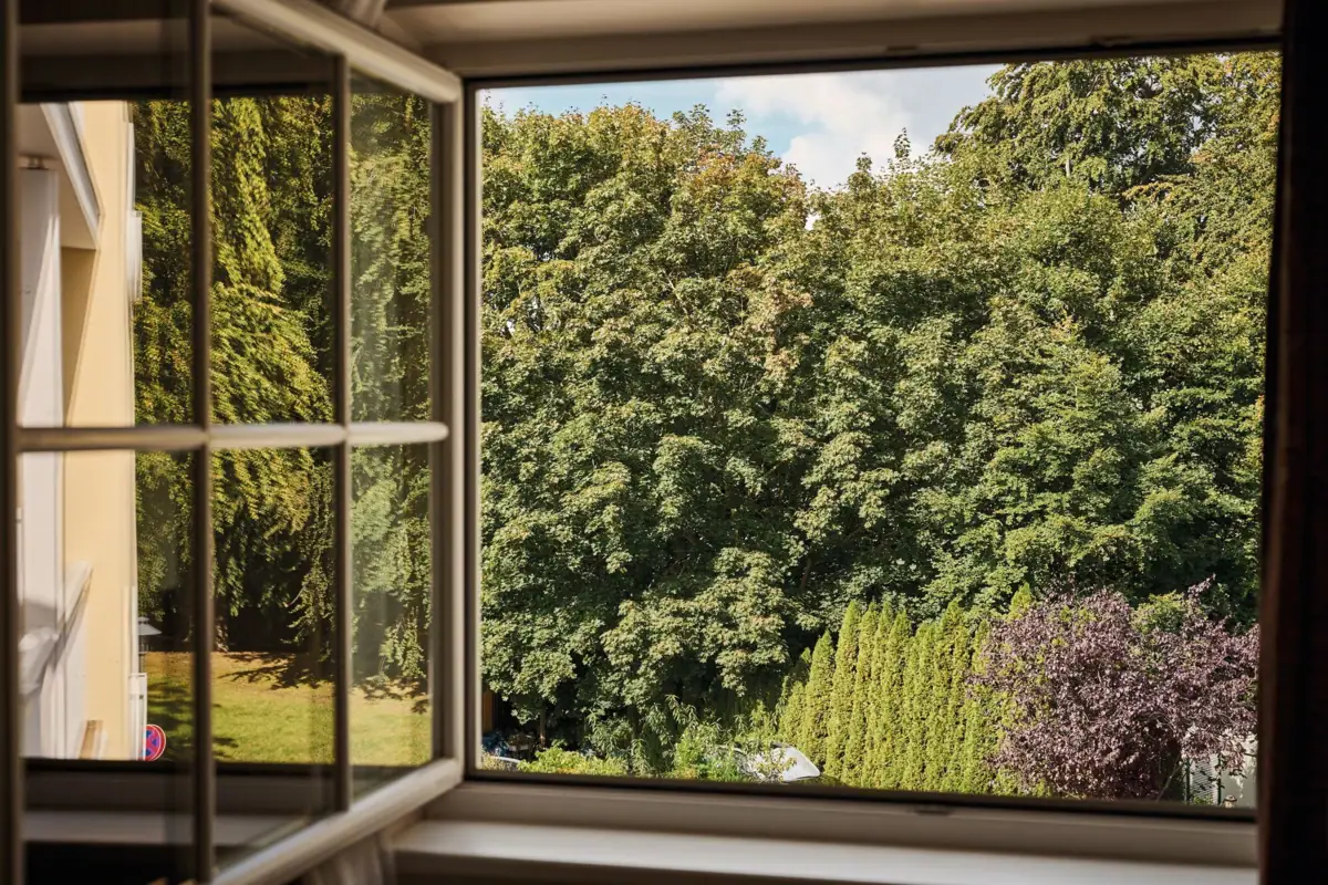 Fenster mit Bäumen draußen