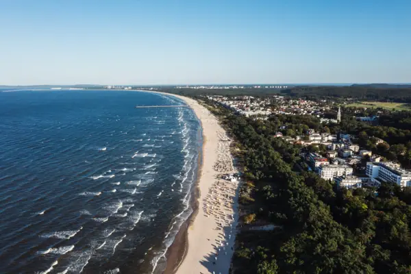 A beach with trees and buildings along the shore.
