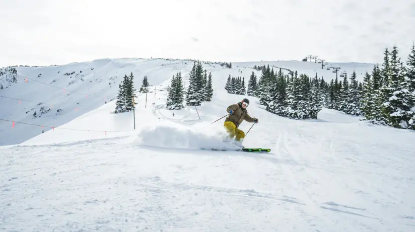 A person skiing down a snowy slope with snow covered trees in the back.