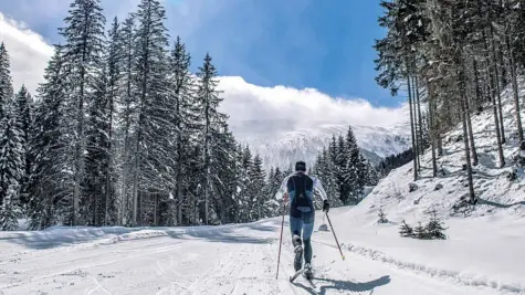 Person cross-country skiing on a snow-covered road surrounded by trees.