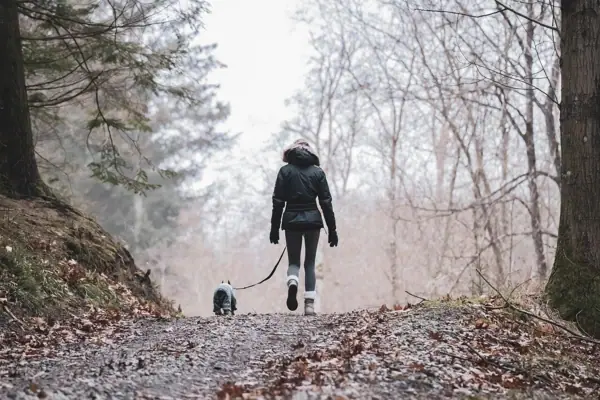 A person is walking a dog along a footpath.