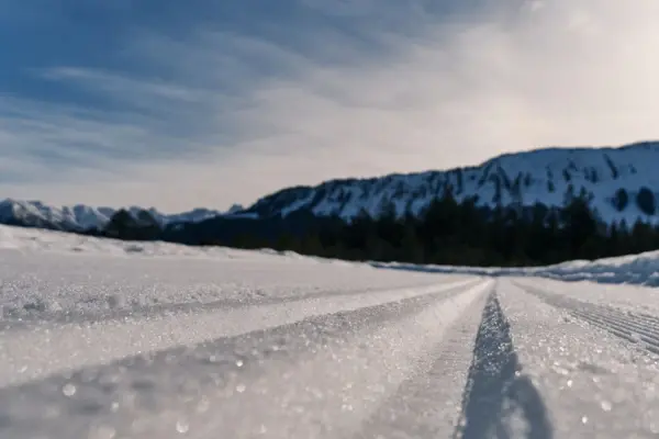 Snow-covered ground with ski tracks in a wintry landscape.