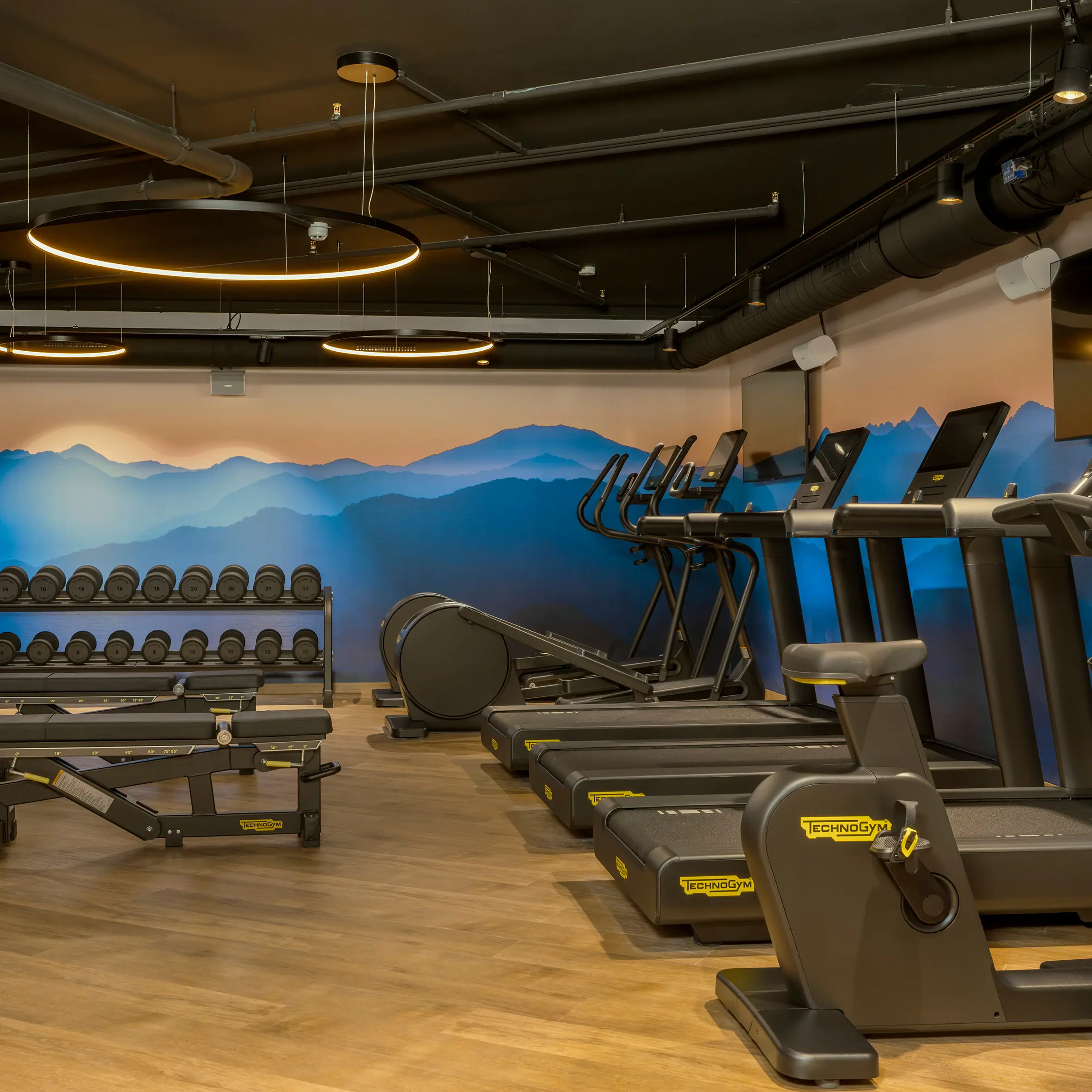 A fitness studio with treadmills and training equipment.