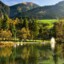 A green landscape with mountains and many trees with a lake in the foreground.