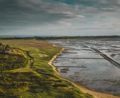 A mudflat landscape stretches along a green dune landscape. The gray, cloud-covered sky bathes the scene in a dramatic light.