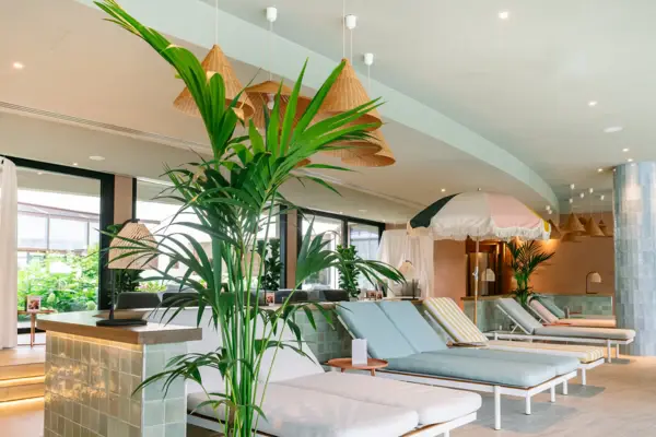 Lounge chairs in a well-designed room with houseplants, a coffee table, and stylish interior elements.