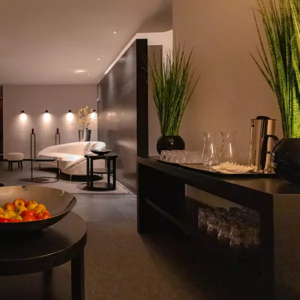 Bowl of fruit on a coffee table in a well-designed SPA room with a shelf for drinks and sofa in the background. 