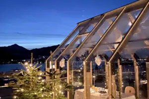 A glasshouse with a tree and lights at night.
