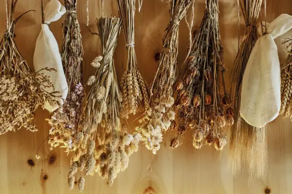Dried flowers on the wall of a sauna.