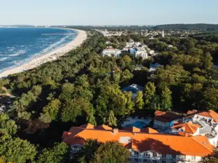 Beach with trees and buildings, view from the air.