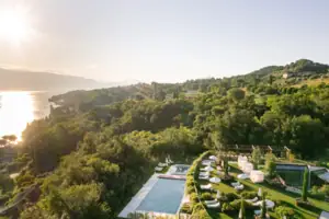 A swimming pool surrounded by trees.