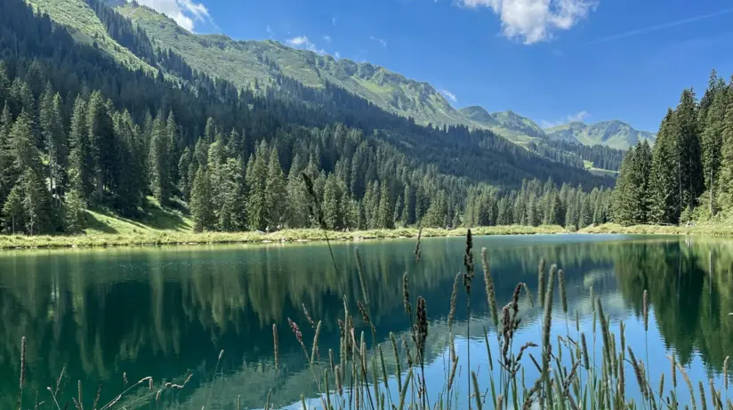 A body of water surrounded by trees and mountains.