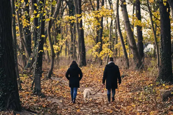 A couple are walking through an autumnal wood with a dog.