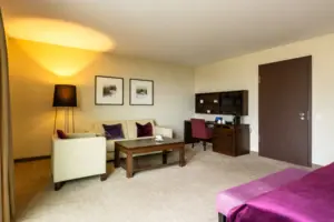 A room with sofas and a table.