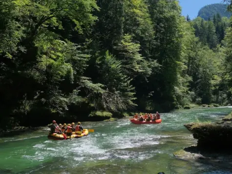 Group of people on rubber dinghies on a river surrounded by trees.