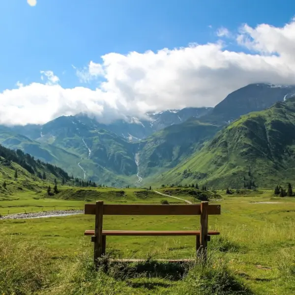 A bench in a meadow with mountains in the background.