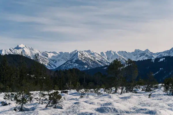 A snow-covered landscape with trees and mountains in the background