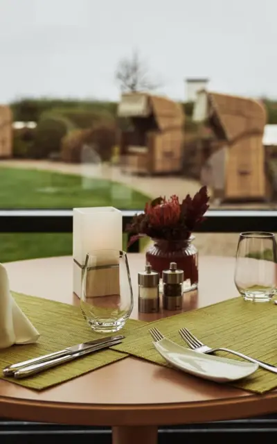 A laid table with a view through a window to the outside with napkins and glasses.