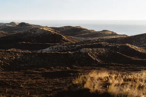 A dune landscape on Sylt with hills and water in the background