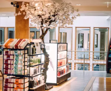 A SPA store with multiple shelfs of cosmetic products and a decorative tree with white flowers. 