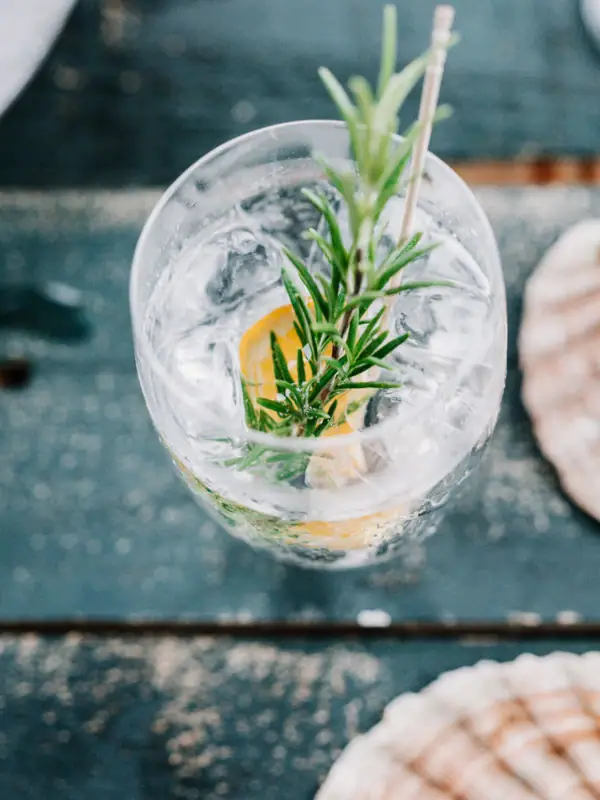 Ein Glas Wasser mit einem Rosmarinzweig darauf.