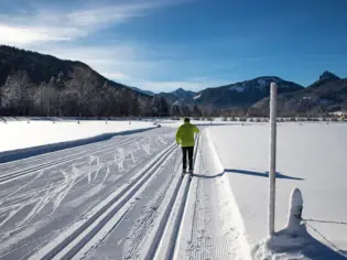 A man in a yellow jacket cross-country skiing through a snowy landscape.