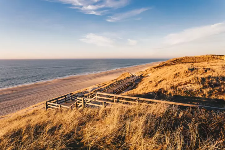 A wooden footbridge leads through a grassy landscape to the beach.