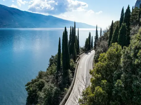 Road along Lake Garda lined with trees.