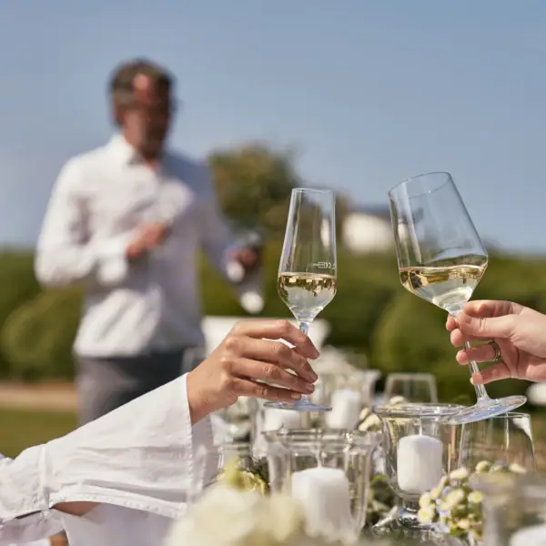 A group of people holding wine glasses outdoors.