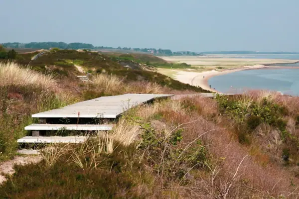 Braderuper Heide on Sylt, with the North Sea in the background