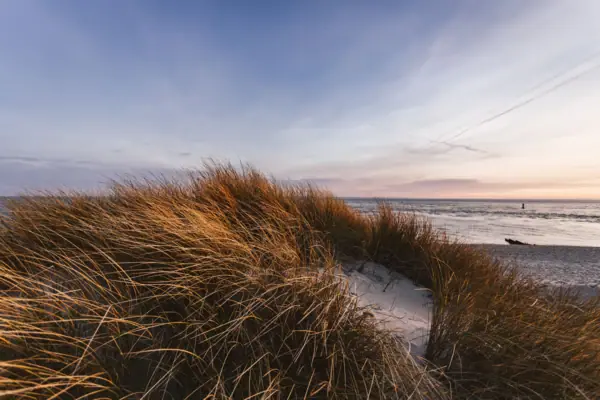A landscape of dunes, the sea and a beautiful beach on Sylt.