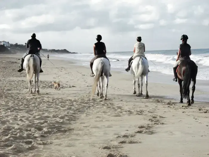 People riding horses on the beach.