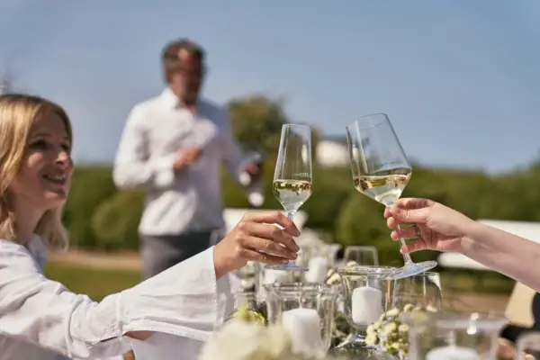 A group of people holding wine glasses outdoors.