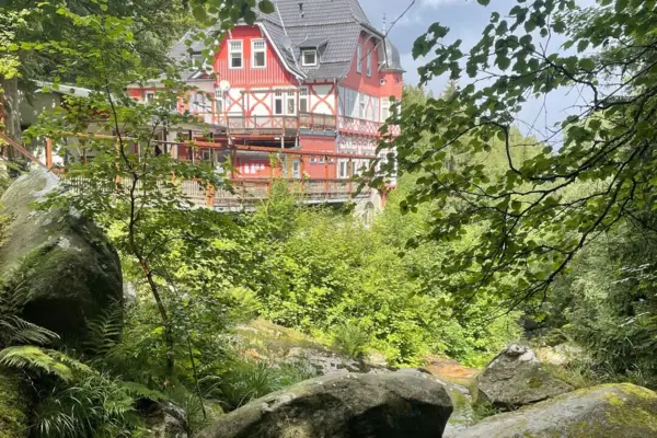 A house in the woods, surrounded by trees, with the Steinerne Renne stream in the foreground