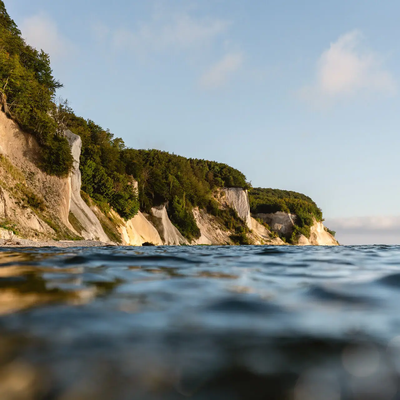 A cliff with trees overlooking a body of water.