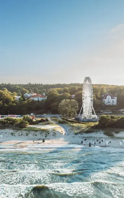 Beach with a Ferris wheel and trees.