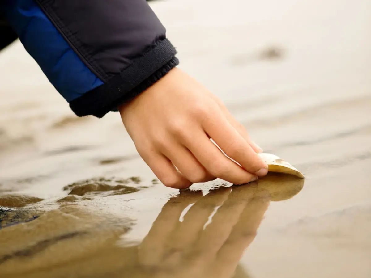 Eine Hand berührt eine Muschel im Sand.
