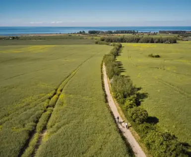 A path through a large green field.