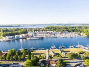 An aerial view of a city beside a body of water with boats and trees visible.