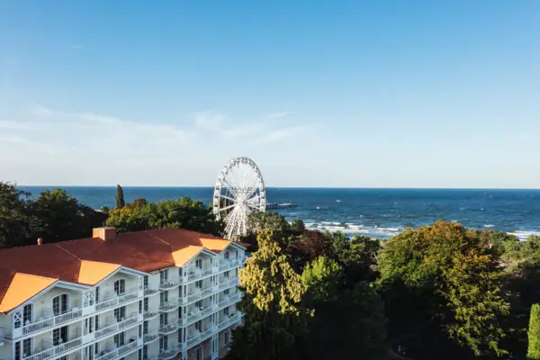 Riesenrad neben Bäumen und Wasser im Freien
