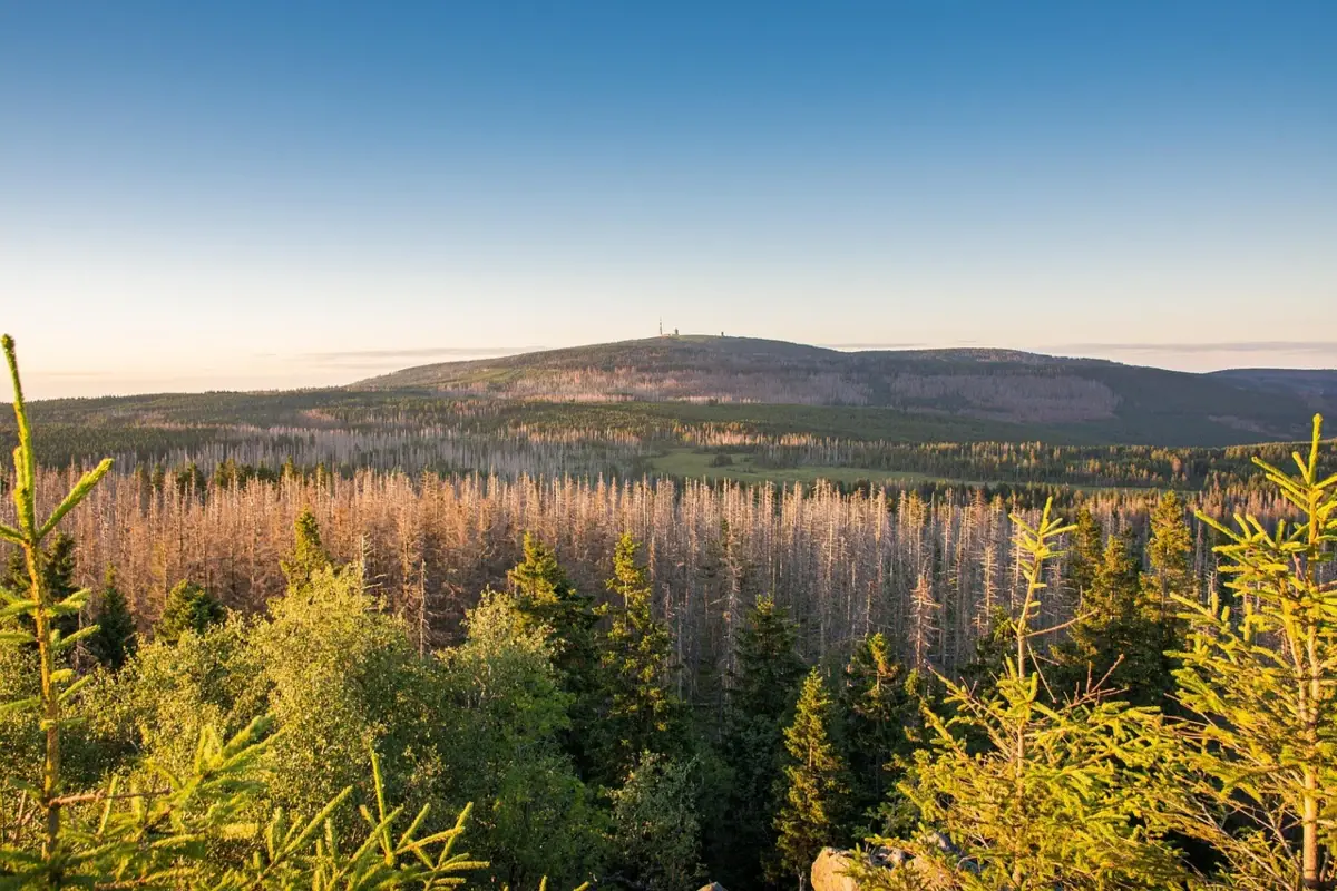 The Brocken in the Harz Mountains