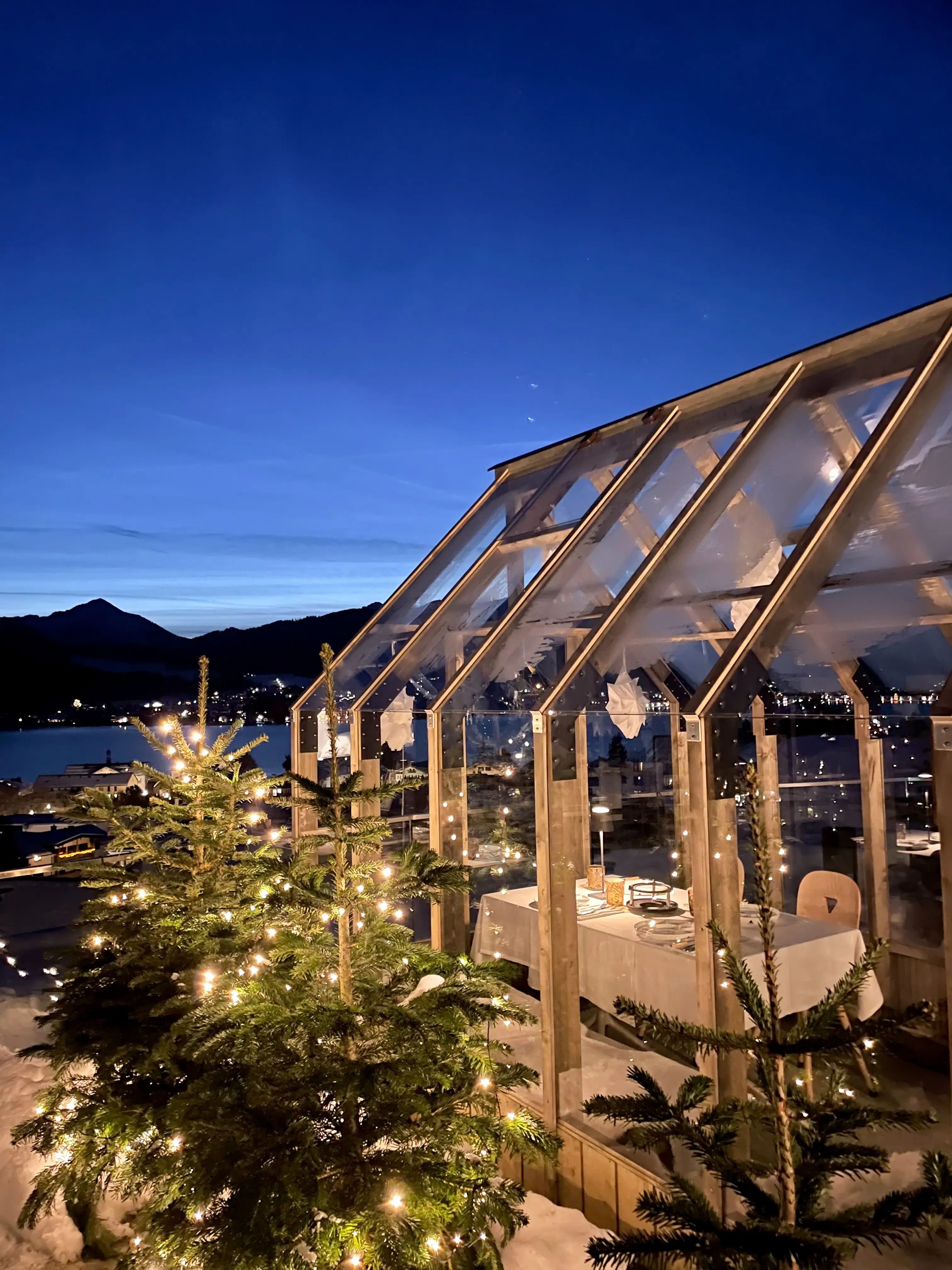 A glasshouse with a tree and lights at night.