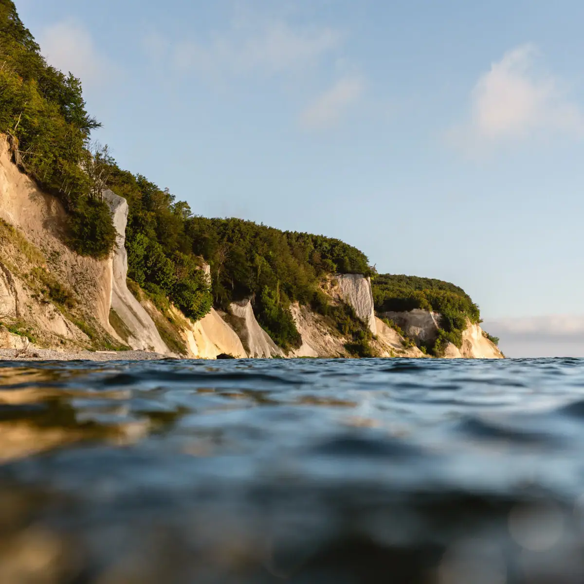 Rügen Activities A cliff with trees overlooking a body of water.