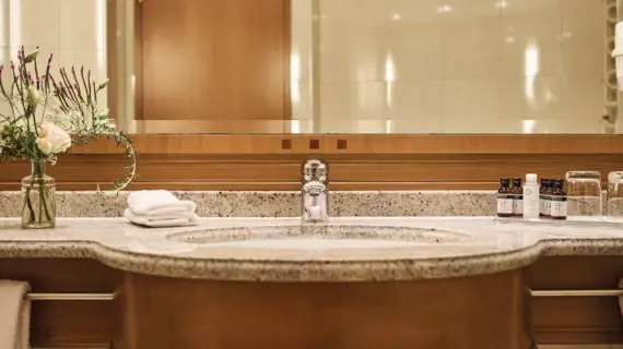 Bathroom washbasin with plant and mirror.